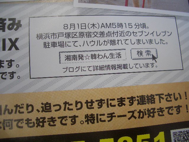 CIMG0127.JPG